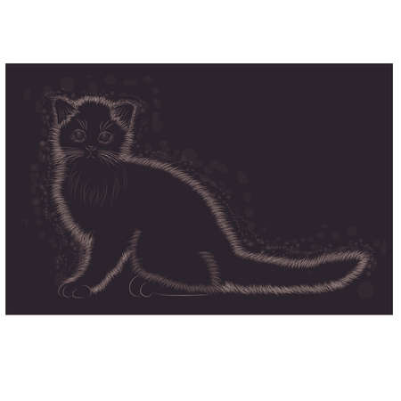 Little fluffy kitten black and white.のイラスト素材