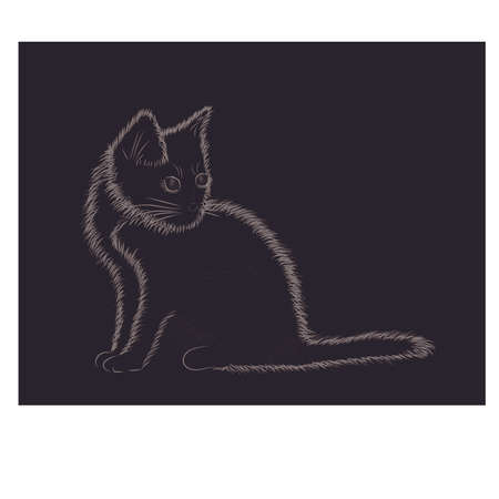 Little fluffy cat black and white, vector illustrationのイラスト素材