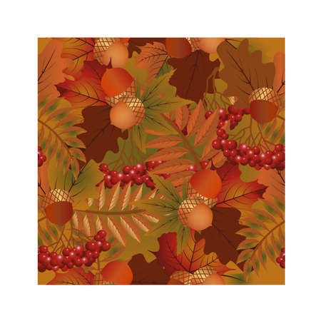 Autumn seamless background, vector illustrationのイラスト素材