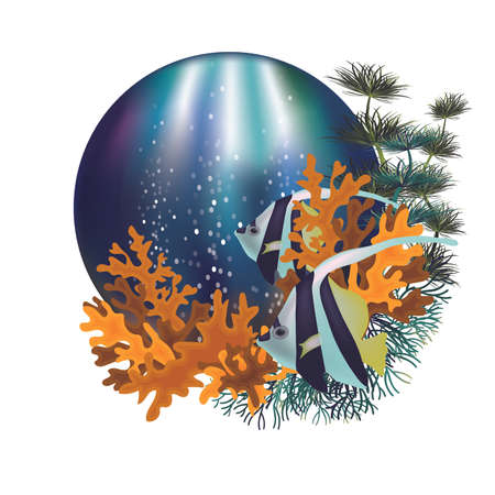 Underwater card with tropical fish and coral, vector illustrationのイラスト素材