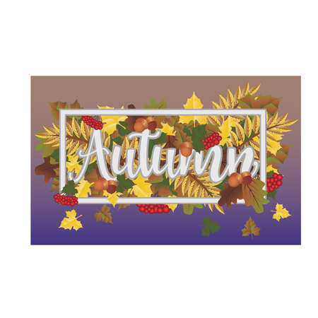 Season autumn time banner, vector illustrationのイラスト素材
