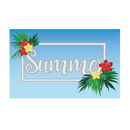 Seasonal summer time card, vector illustrationのイラスト素材