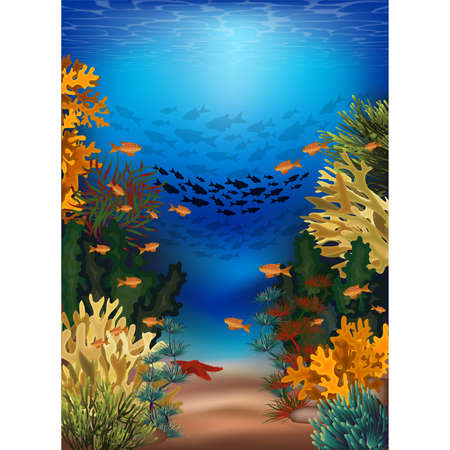 Underwater banner with algae and tropical fish, vector illustrationのイラスト素材