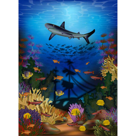 Underwater wallpaper with shark and sunken ship, vector illustrationのイラスト素材