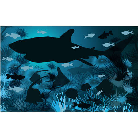 Underwater wallpaper with shark, tropical fish, vector illustrationのイラスト素材