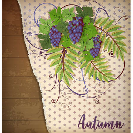 Autumn invitation card with grape, vector illustrationのイラスト素材
