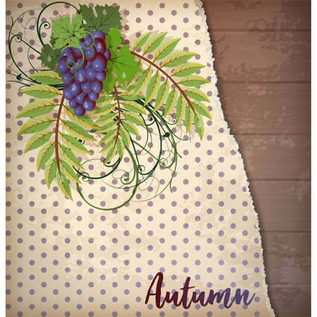 Autumn background with grape leaves, vector illustrationのイラスト素材