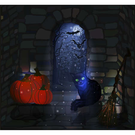 Happy Halloween wallpaper with black cat, witch broom, pumpkin, vector illustrationのイラスト素材