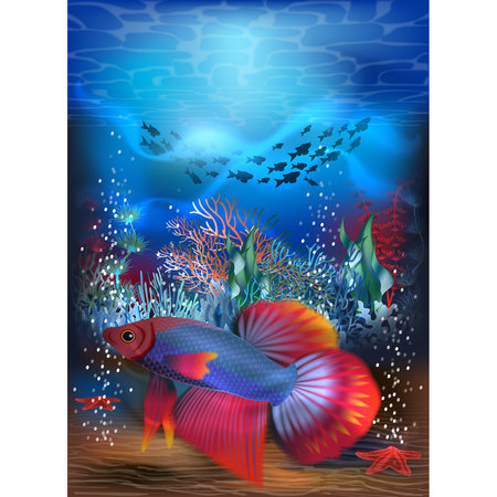 Underwater card with tropical siamese fighting fish, vector illustrationのイラスト素材