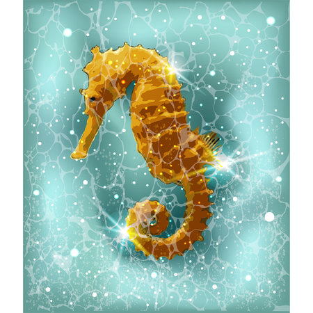 Seahorse summer party card, vector illustrationのイラスト素材