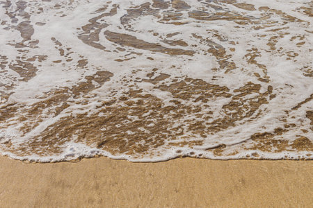 Soft wave of the sea on the sandy beach. Close-up. In Northeast of Brazil