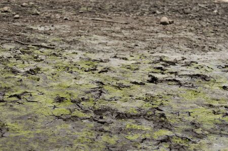 Greenish earth cracked at drying, on the shore of the reservoir "La Regadera", in Usme, Cundinamarca, Colombiaの写真素材
