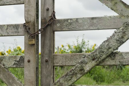 Chain and padlock closing a gate, behind it a field of sunflowers and a cloudy sky. Chascomus, Buenos Aires, Argentinaの写真素材