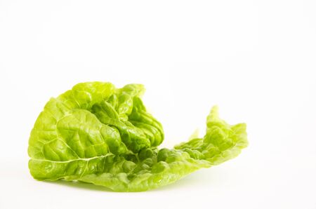 Lettuce green leaf isolated on white backgroundの写真素材