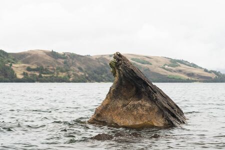 aquatic landscape, rock emerging on water in the largest lake in Colombia, a cold and cloudy