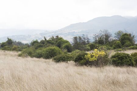Natural landscape in San Pedro island or Isla Grande, in Lake Tota, the largest one in Colombia