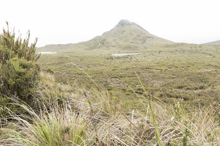 Chingaza National Natural Park, Colombia. Buitrago lagoons, cloudy moor landscape, hill between mist...