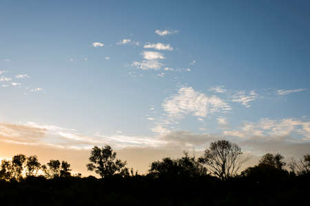 Sunset landscape, silhouettes of trees against the illuminated sky, in Carmelo, Uruguay.