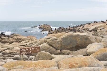 Coastal landscape and sign with the text Respect my space, in the Cabo Polonio reserve, in Uruguay....