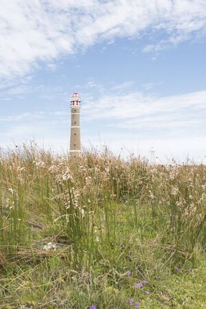 Cabo Polonio Lighthouse and prairie in summer, Rocha, Uruguay; a beautiful tourist destinationの写真素材