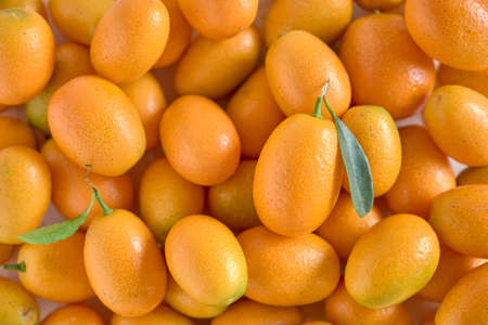 A kumquat, a small exotic citrus fruit, with its leaf, on a white textured backgroundの写真素材
