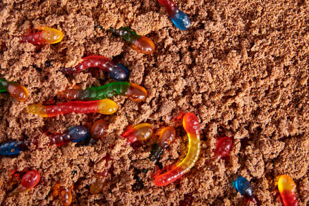 Colorful and bright assorted gummy worms in chocolate cake ground, halloween party food, copy space