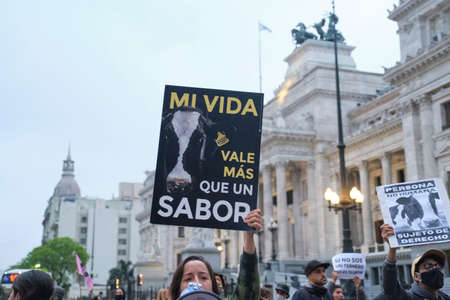 Buenos Aires, Argentina; Nov 1, 2021: World Vegan Day, activists marching in front of Congress, woman holding up a poster with the image of a cow and the text My life is worth more than a taste.のeditorial素材