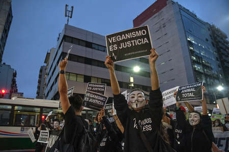 Buenos Aires, Argentina; Nov 1, 2021: World Vegan Day. Activists marching down Corrientes Street at dusk, holding posters: Veganism is justice.のeditorial素材