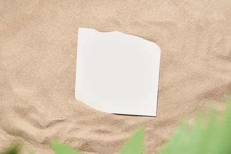 Tropical composition on the concept of summer, beach and vacations: a smooth sand background with a...