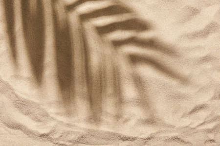 Tropical design on the concept of summer, beach and vacations: the shadow of a palm leaf is cast on a smooth sand background. Creative minimal layout, top view composition with copyspace.の写真素材