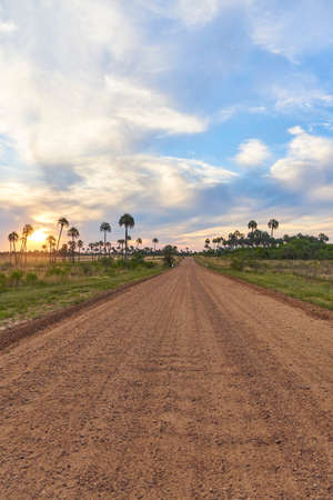 Sunset in El Palmar National Park, in Entre Rios, Argentina, a natural protected area where the endemic Butia yatay palm tree is found. A dirt road to the horizon and a beautiful dramatic sky.の写真素材