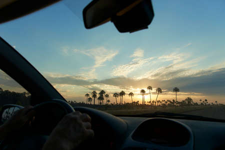 View from inside a car, sunset in El Palmar National Park, in Entre Rios, Argentina, a natural...