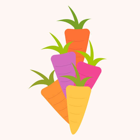 Illustration of a group of heirloom carrots of different colors, concept of healthy vegan bio food...