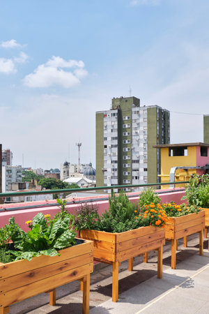 Urban community vegetable garden located on the rooftop of a building. Concepts of sustainable agriculture, ecology, and healthy living.の写真素材
