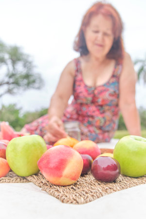 Mature woman having a picnic breakfast with a variety of fresh fruits, apples, peaches, tangerines, plums, watermelon. Focus on them. Concepts: healthy eating, enjoying the outdoors at summertimeの写真素材