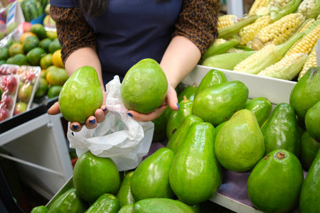 Unrecognizable woman showing a pair of fresh big avocados in a vegetable market.の写真素材