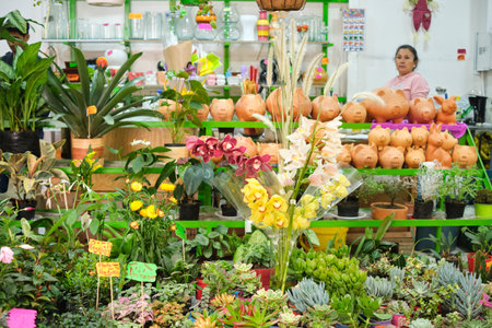January 8, 2023, Bogota, Colombia: plant stall at a local marketのeditorial素材