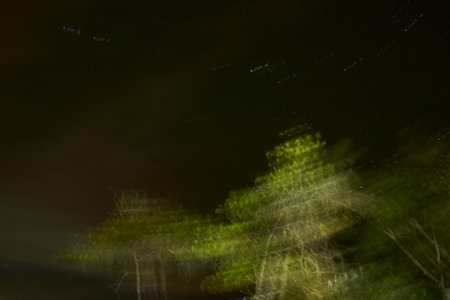 Blurred outdoor night scene, dark sky and illuminated trees with movement generating a feeling of confusion, fear or nightmare.の写真素材