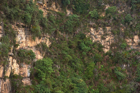 Mountain wall with vegetation seen from the front, in an unusual perspective, from a flying...