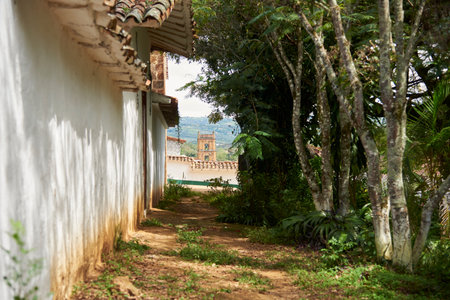 Picturesque passage between a colonial building wall and a row of trees in Barichara, the most beautiful town in Colombia. The cathedral tower can be seen in the background.の写真素材