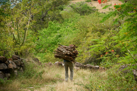 Rear view of an unrecognizable man carrying a bundle of firewood on his back walking along a rural stone path surrounded by vegetation in Santander, Colombia. Picturesque composition with copy space.の写真素材