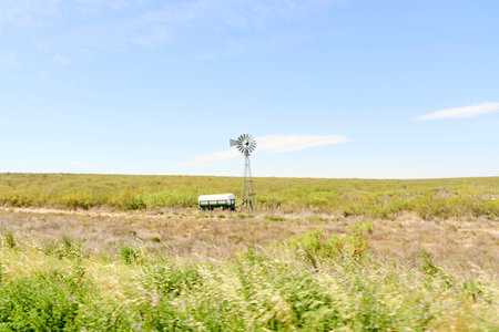 Windmill in a field on the side of the road, in La Pampa, Argentina. Peaceful scene showing renewable energy generation in rural areas.の写真素材