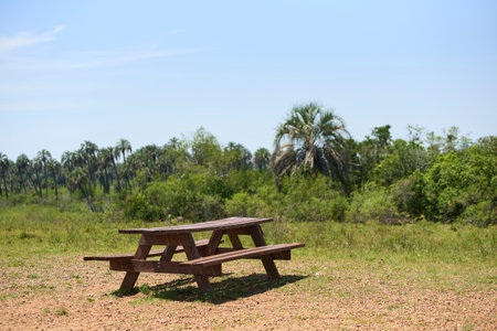 Empty picnic table, resting place in El Palmar National Park, Entre Rios, Argentina.の写真素材