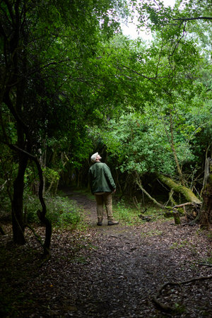 A man surrounded by nature, standing in the middle of a path, stops to look up. El Palmar National...