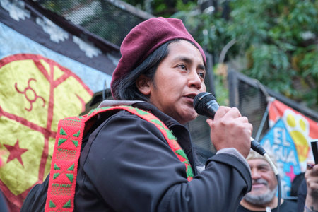 March 25, 2026; Buenos Aires, Argentina: demonstration against the amendment to the Glacier Law. Members of various indigenous communities are taking part in the protest.のeditorial素材