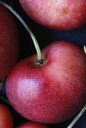 Closup of cherriesの写真素材