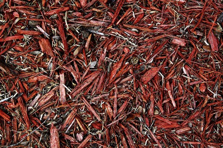 Close up of mulch in red as a backgroundの写真素材