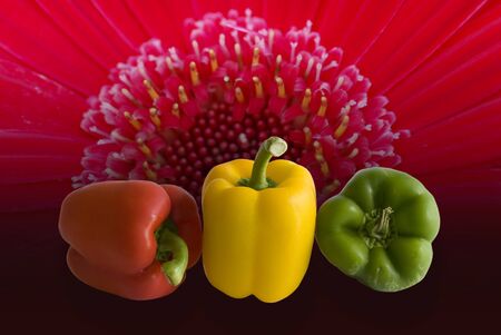 Disigned with three peppers and flower backgroundの写真素材