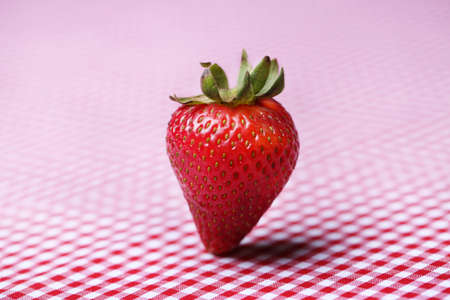 A strawberry standing up on a red gingham tableclothの写真素材