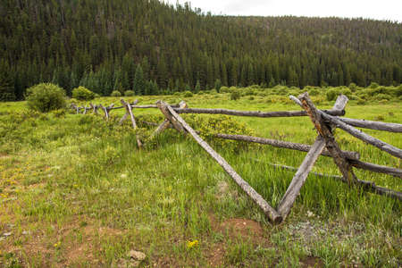 An old rustic fence surrounded by wildflowers in Coloradoの写真素材